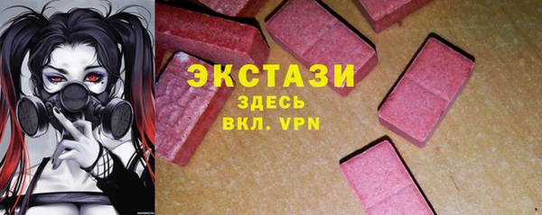 дживик Няндома