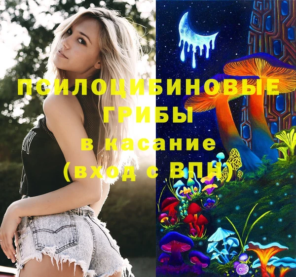 МДПВ Нязепетровск