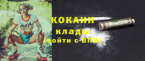 МДПВ Новозыбков