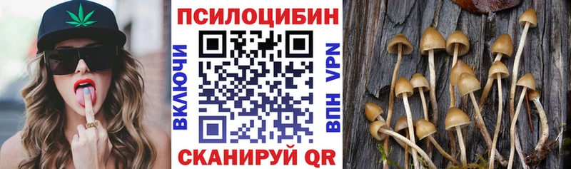 блэк спрут ТОР  даркнет сайт  площадка Telegram  Галлюциногенные грибы мухоморы  Юрьев-Польский 